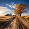 A tranquil rural scene featuring a winding dirt road cutting through a sun-dappled open field