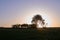 Tranquil rural scene at sunset in Flint Hills, USA