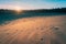 Tranquil sandy beach illuminated by the warm, soft light of the rising sun