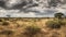 Tranquil savannah sunset wildlife, acacia tree, and panoramic horizon generated by AI