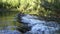 tranquil scene down by the river with flowing water