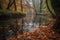 tranquil scene of fallen leaves on a still pond