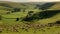 Tranquil scene of idyllic sheep farm in rolling Derbyshire landscape generated by AI