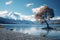 Tranquil scene of Lake Wanaka in New Zealand