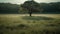 Tranquil scene meadow, grass, forest, green landscape, sunlight, solitude generated by AI