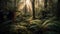 Tranquil scene tropical rainforest, fern, sunlight, mysterious fog, wet generated by AI