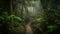 Tranquil scene in tropical rainforest, mystery awaits generated by AI