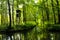 Tranquil scenery at Spreewald forest, Germany