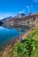 Tranquil scenery with wildflowers along the shore of Lake Saint Moritz