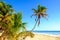Tranquil scenic view of summer beach landscape with palm trees