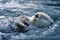 Tranquil sea otter floating in ocean waves serene wildlife photography masterpiece