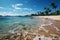 Tranquil seaside vista, golden sand, palm trees, glistening sea, clear blue skies