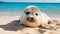 Tranquil Serenity: Adorable Baby Seal Resting on Pristine Beach