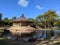 Tranquil Serenity: Kapiolani Park's Peaceful Oasis in Waikiki