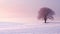 Tranquil Serenity: A Lone Tree In A Snowy Field