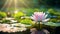 Tranquil Serenity: White Lotus Blossom in Lush Garden