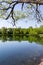 Tranquil spring pond reflection