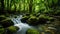 Tranquil Stream Amidst the Green Woodlands of Japan