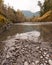 Tranquil Stream Flowing Through Forested Trail