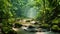 A tranquil stream meanders through the vibrant foliage of a dense, green forest., River in rainforest