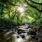 A tranquil stream running through a forest