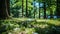 Tranquil summer scene with a book resting on the lush grass in the shade of trees