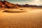 Tranquil Sunset over Arid Desert Landscape with Sand Dunes and Wildflowers