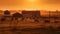 A tranquil sunset over a rural farm with grazing cattle generated by AI