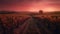 A tranquil sunset over a vineyard in the Chianti region generative AI