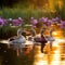Tranquil Sunset Serenade: Mallards and Pekin Ducks Gracefully Glide Amidst Blooming Water Lilies