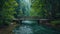 Tranquil swiss forest bridge over river in lush green woods, serene natural scene