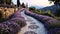 Tranquil Trails: Exploring Napa\\\'s Lavender-Lined Pathways and St