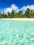 Tranquil tropical beach. Palm trees and white sand under blue sky. Exotic coast view, vertical beach banner. Summer travel