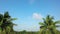 Tranquil tropical landscape video with palm trees, blue sky, and natural beauty