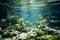 Tranquil underwater scenes with cool and soothing