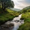 Tranquil Valley with a Serene Brook Flowing through the Picturesque Landscape