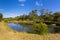 Tranquil view of oval pond surrounded by garden, big tree, blue