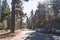 Tranquil view of rural street in Lake Tahoe with cars parked