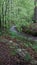 Tranquil view of stream at Keown Falls