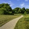 Tranquil walking path on the meadow curved into the forest