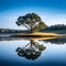 Tranquil Water Reflections: A Serene Oasis in Nature\\\'s Mirror