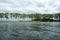 A tranquil waterscape by the shore, framed by a row of vibrant green trees, under a sky adorned with billowing clouds