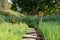 Tranquil, well stocked garden with a variety of plants, and yellow bird house at the end of the path.