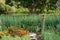 Tranquil, well stocked garden and a yellow bird house at the end of the path at Babelstoren Wine Estate, South Africa