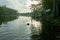 Tranquil wetlands landscape in Okefenokee