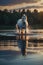 Tranquil white horse: Sunset Serenity in Placid Lake