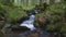 Tranquil wilderness escape: serene mountain stream amidst verdant forest. Pristine river cascading through remote