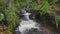 Tranquil Wilderness Escape: Serene Mountain Stream Amidst Verdant Forest. Pristine River Cascading Through Remote