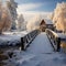 Tranquil winter day, a snow covered wooden bridge in a serene setting