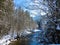 Tranquil winter landscape on the river in the forest